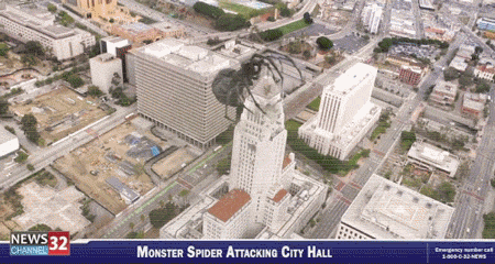 big ass spider! GIF by SBS Movies