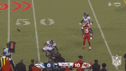 National Football League GIF by NFL