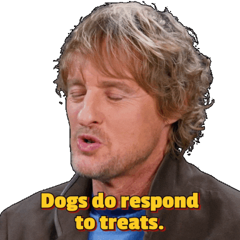 Chicken Wings Hot Ones Sticker by First We Feast