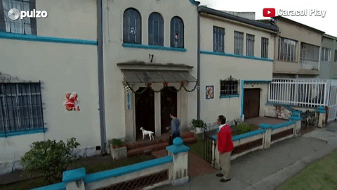 alejandrahurtadoramirez giphyupload GIF
