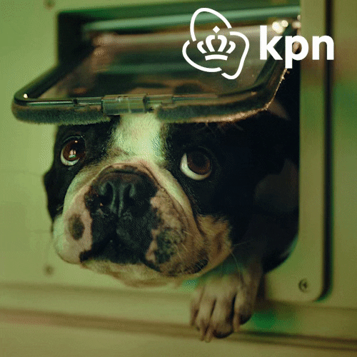 Hallo Party Animal GIF by KPN