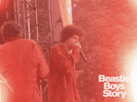 Mike D Mca GIF by Beastie Boys