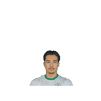 Sport Heerlen Sticker by Groene ster