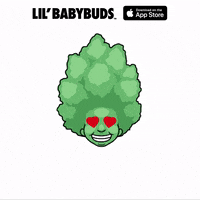 GIF by LILBABYBUDS