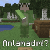 Treminko treminko anlamadım GIF