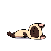 minogames cat cats sleep sleeping Sticker