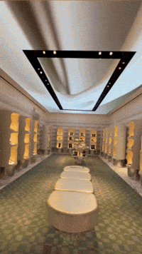 GIF by Ecossistema Goakira
