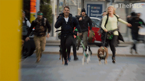 The Pack Dogs GIF by Amazon Prime Video
