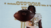 Georgia Tech Football Sport GIF by Georgia Tech Yellow Jackets