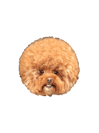 Hair Smile Sticker