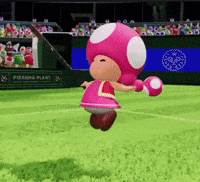 Nintendo Mario GIF