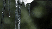 melt melting GIF by Nat Geo Wild 