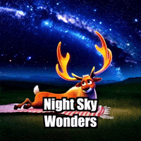 Stars Night GIF by elkijahspark