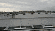 indonesia eclipse GIF