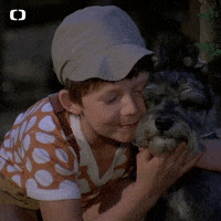 Dog Love GIF
