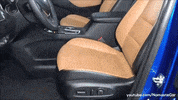 Get In Lets Go GIF by Namaste Car