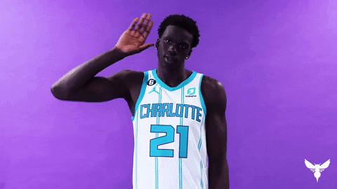 Basketball Nba GIF by Charlotte Hornets