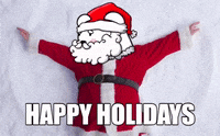 Merry Christmas Nft GIF by SuperRareBears