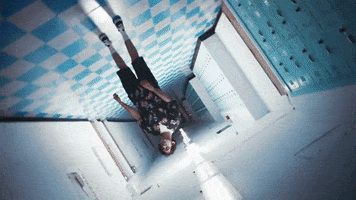 cr-v GIF by Cuco