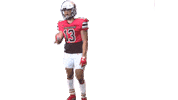 G Gio Sticker by Richmond Spiders