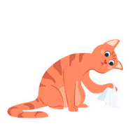 colearn tissue neco colearnclassroom colearn Sticker
