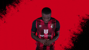 Football Celebrate GIF by AFC Bournemouth