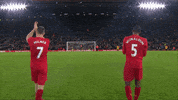 premier league football GIF by Liverpool FC