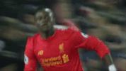 premier league football GIF by Liverpool FC