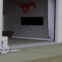 Golf Athletics GIF by SMU Mustangs