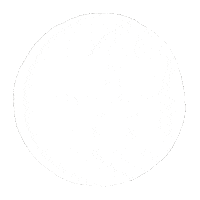 Reel Sticker