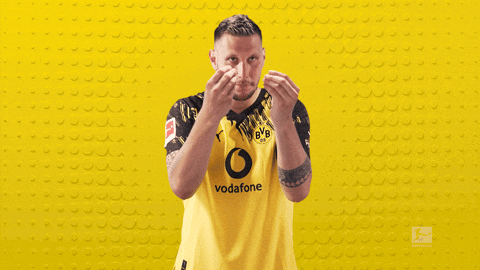 Suele Borussia Dortmund GIF by Bundesliga