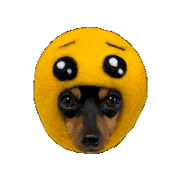 Dog Sticker