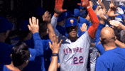 High Five Home Run GIF by New York Mets