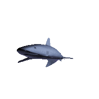 bryangifs ocean fish sea swimming Sticker