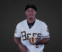 SaltLakeBees baseball popcorn bees hot dog GIF