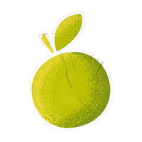Orange Fruit Sticker by Extrafruti