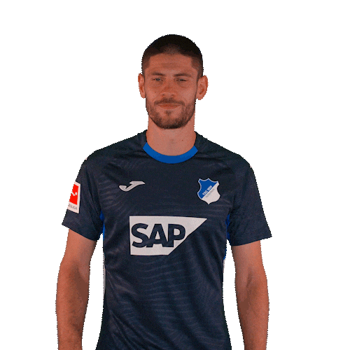 Andrej Kramaric Sport Sticker by TSG Hoffenheim