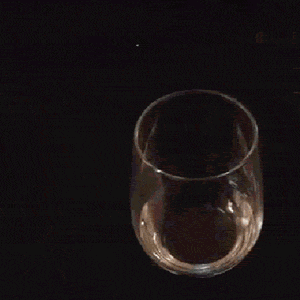 pleases GIF