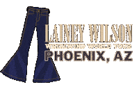 Wild Horses Arizona Sticker by Lainey Wilson