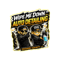 Car Wash Wmd Sticker by Wipe Me Down Detail