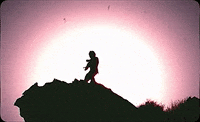 Tomorrow GIF by Your Grandparents