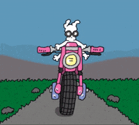 Motorcross