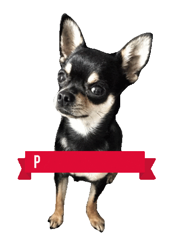 dog prince Sticker by Tales&Tails