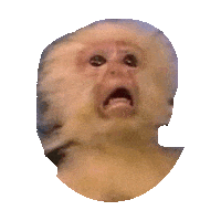 Scared Fear Sticker by imoji