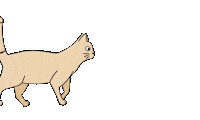 HeartcraftShop cat new new post walking Sticker
