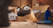Confused Dog GIF by CONNECTED