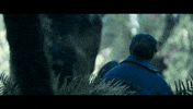 New Zealand Kiwi GIF by End Of The Valley