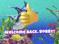 Welcome back Bobby
