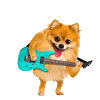 Party Rock Out Sticker by Chris Timmons