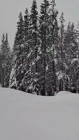 Heavy Snow Falls in California's Northern Mountains